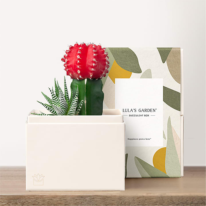 product image for Lula's Garden - Petite Gardens