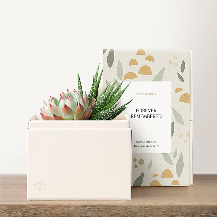 product image for Lula's Garden - Sympathy Petite Gardens