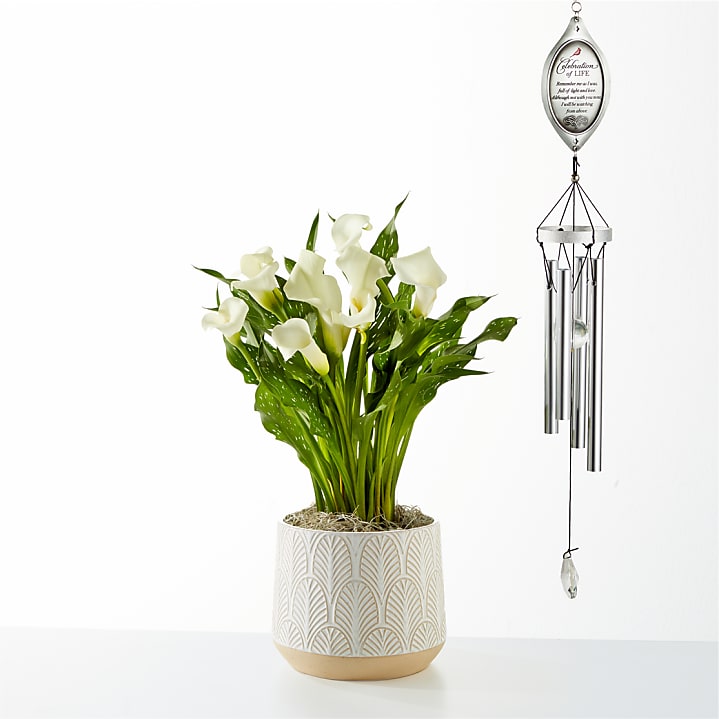 product image for White Calla Lily Thinking of you Bundle