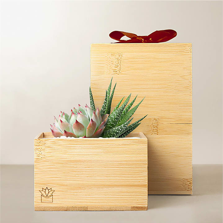 product image for Lula's Garden - Red Bow Bamboo Gardens