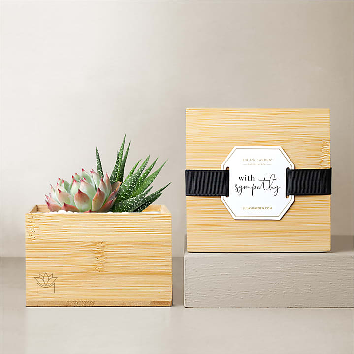 product image for Lula's Garden - Sympathy Bamboo Gardens