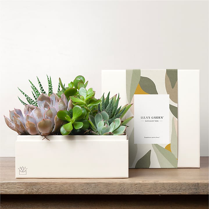 product image for Lula's Garden - Premium Gardens