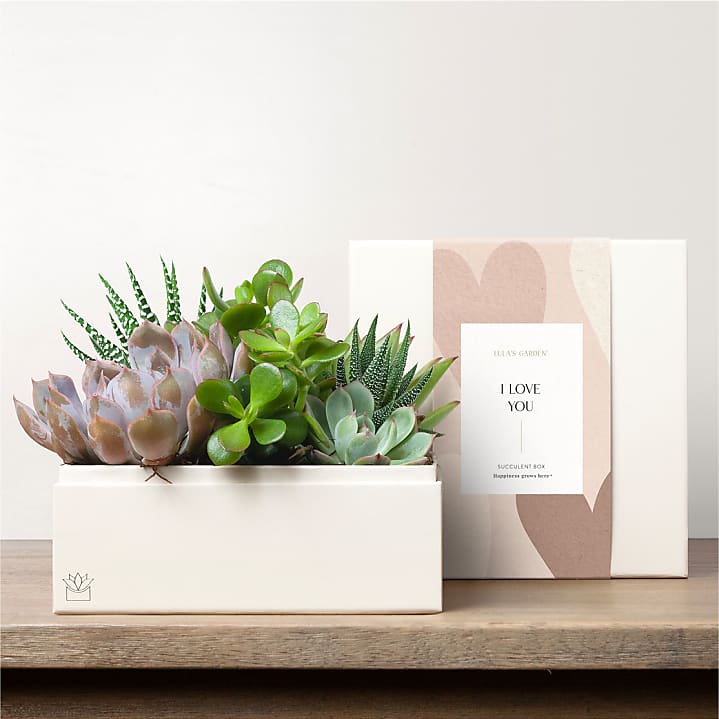 product image for Lula's Garden - Love Premium Gardens