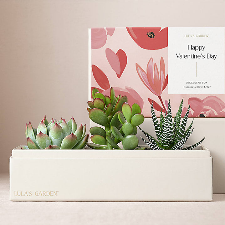 product image for Lula's Jewel Garden - Valentine's Day