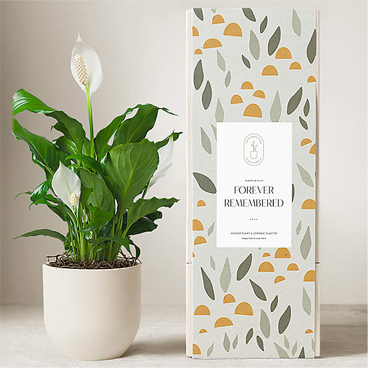 product image for Lula's Garden – Forever Remembered Plants